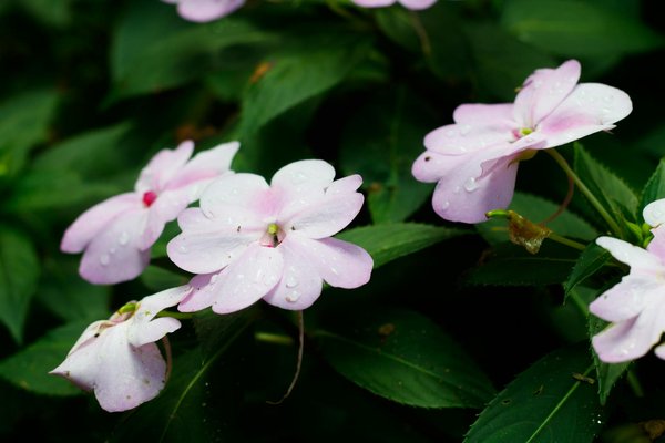 Découvrez les Dernières Tendances d'Aménagement pour Résidences de Prestige