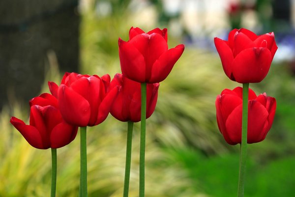 Batterie virtuelle : l'avenir du stockage d'énergie solaire